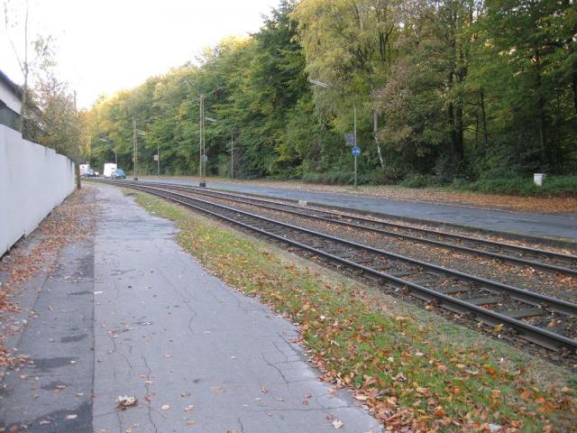 IMG_6255.JPG