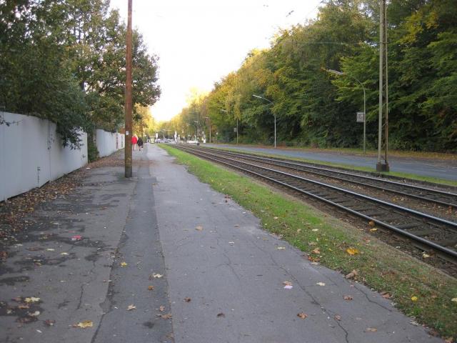 IMG_6256.JPG