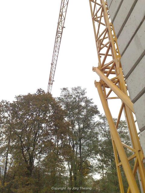 comp_281020091119.jpg