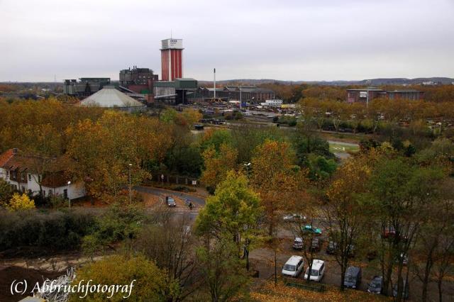 3.11.2009_0028.JPG