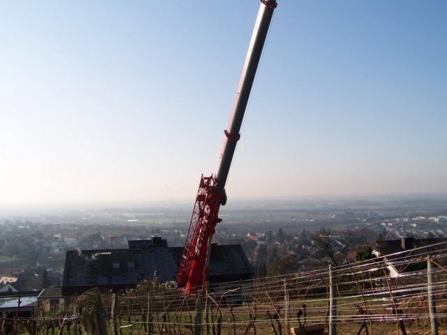 100_3625.JPG