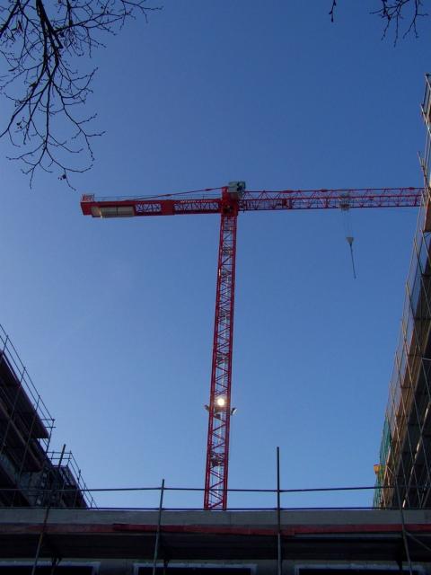 100_3981.JPG