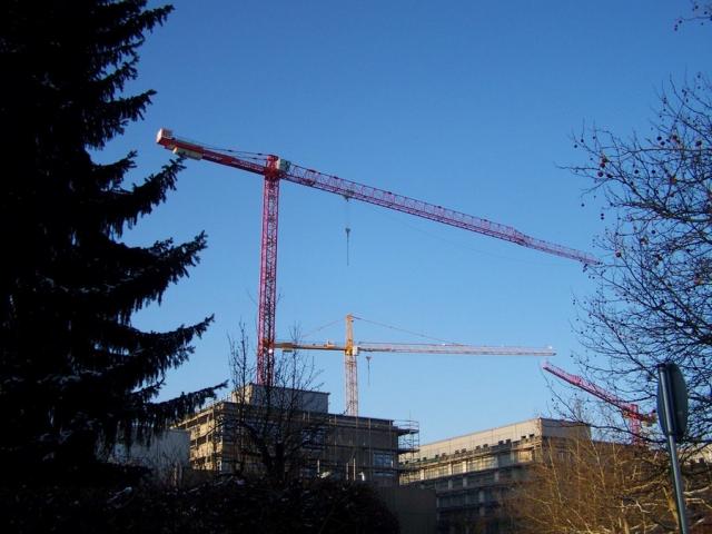 100_3983.JPG
