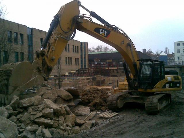 cat_330D.jpg