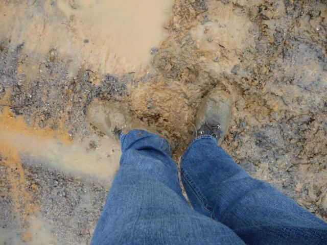 2010/01/post-6467-1264782215_thumb.jpg