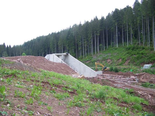100_6945.jpg