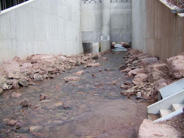 100_7705.jpg