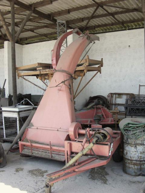 DSCF1461.JPG