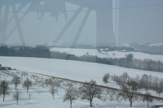006.JPG
