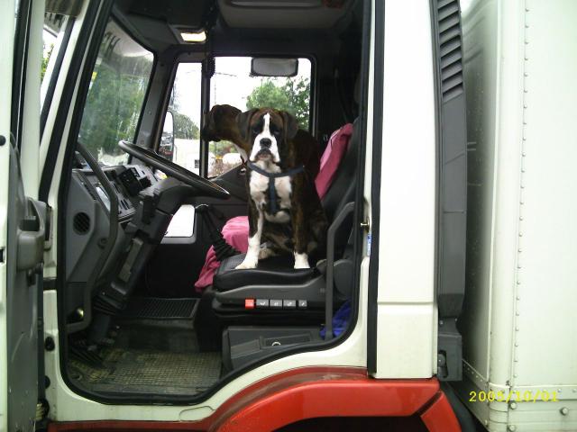 2010/02/post-3072-1265664331_thumb.jpg