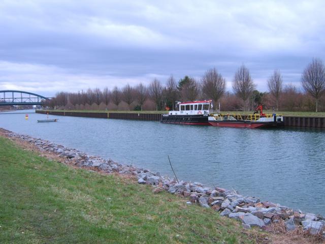 SA509996__50__.JPG