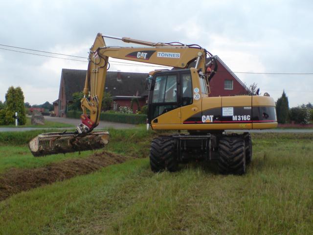 Cat316c_.JPG