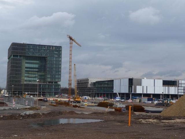 P1050314.jpg