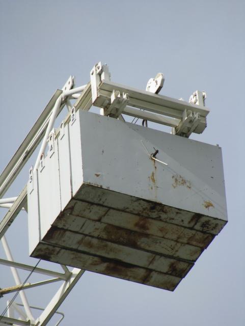GT1295__11_.JPG
