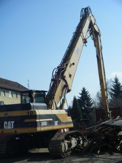 d_cat_345.jpg