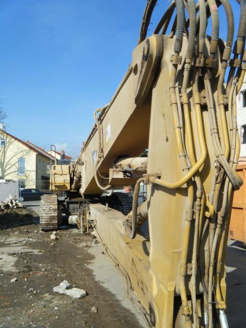 j_cat_345_nr_2.jpg