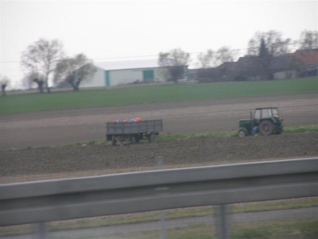 2010/04/post-415-1272364275_thumb.jpg