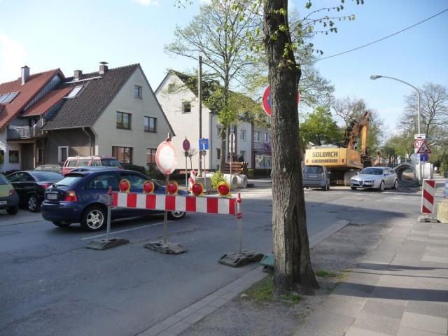 P1060404.jpg