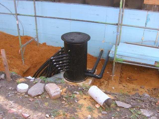 SA501664__50__.JPG