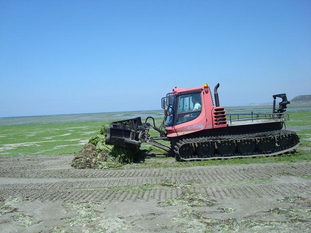 pistenbully_300_meer.JPG