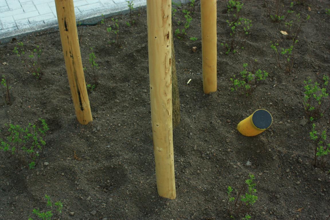 Drainagerohr um Bäume Seite 2 Gartenbau