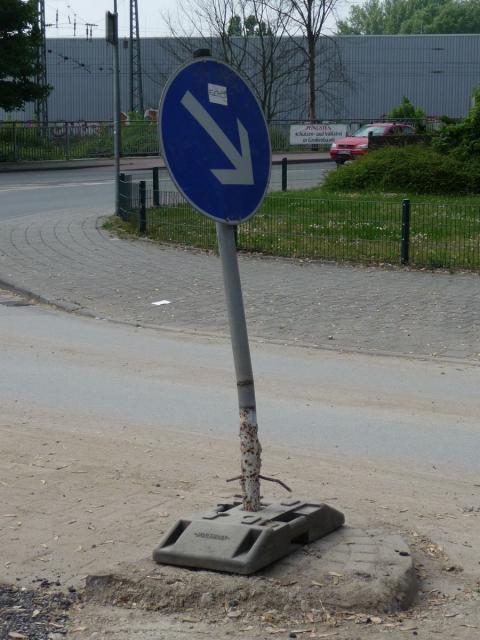 P1070192.jpg