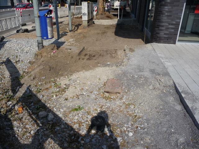 P1070653.jpg