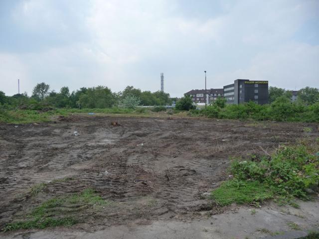 P1070567.jpg