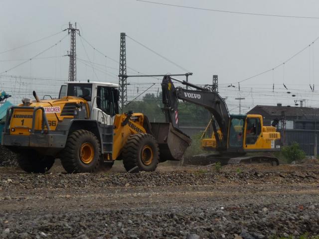 P1070575.jpg