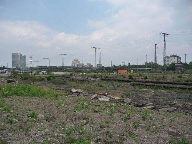 P1070590.jpg
