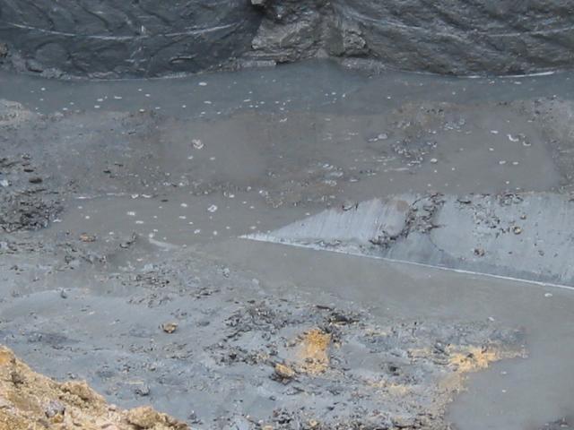 FFH4764.JPG