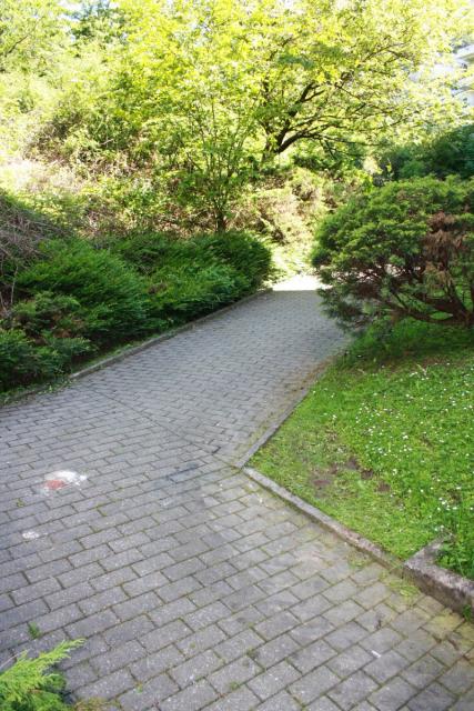 2010/06/post-2270-1275853794_thumb.jpg