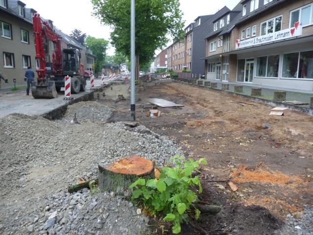 P1080265.jpg