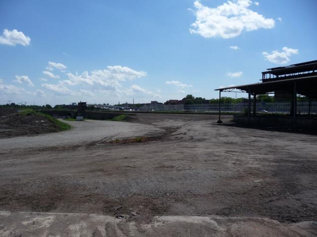 P1080556.jpg
