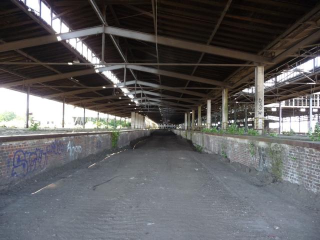 P1080561.jpg