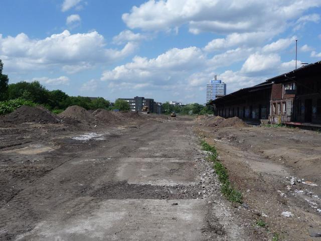 P1080570.jpg