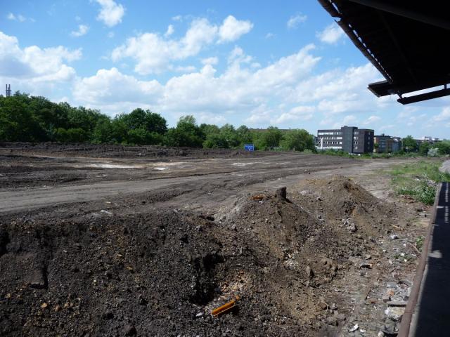 P1080580.jpg