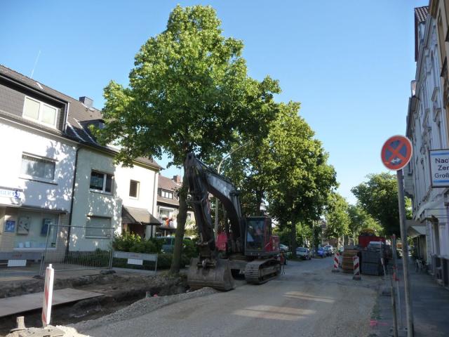 P1080611.jpg