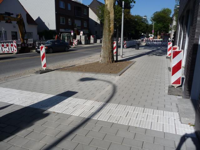 P1080640.jpg