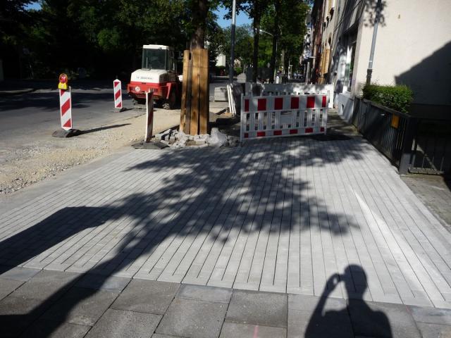 P1080645.jpg