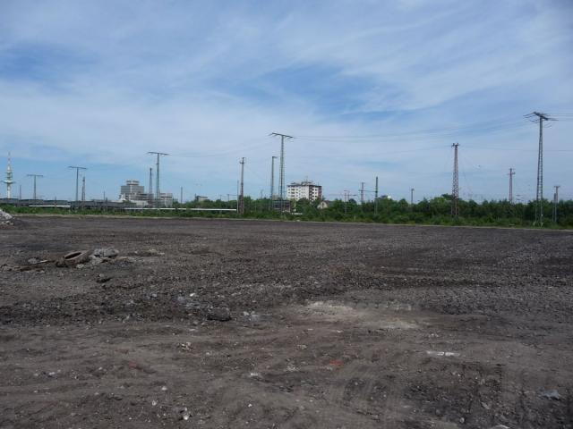 P1080781.jpg
