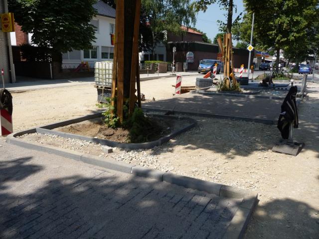 P1090012.jpg