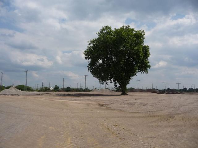P1090079.jpg