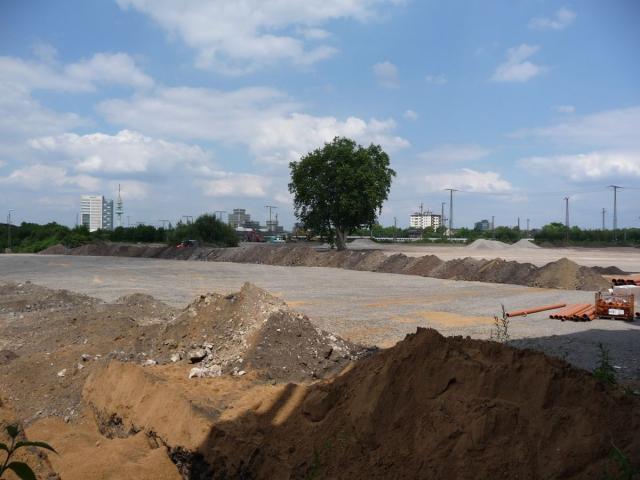 P1090090.jpg