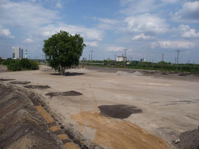 P1090103.jpg