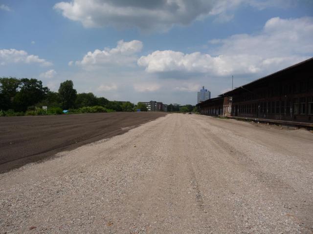P1090113.jpg