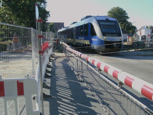 _Wachsbleiche_26._Juni_2010__10_.jpg