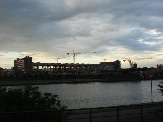 DSC01992_Resized.jpg