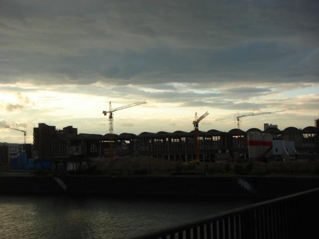 DSC01993_Resized.jpg