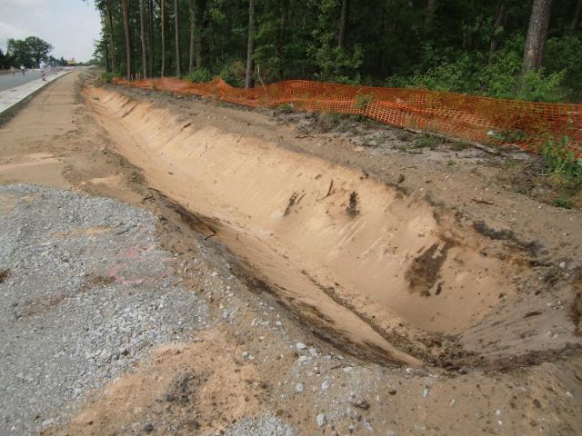 CIMG0693.JPG